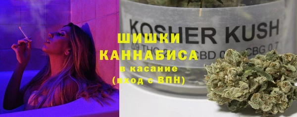 индика Богданович