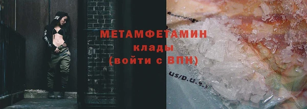 индика Богданович