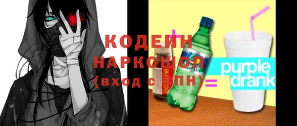 СК Бородино