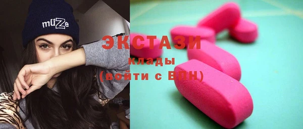 индика Богданович