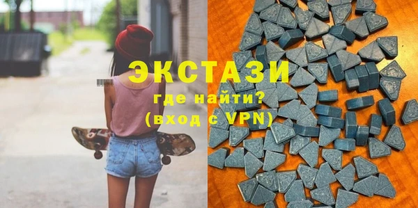 индика Богданович