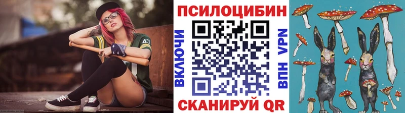 Галлюциногенные грибы Psilocybe  Дигора 